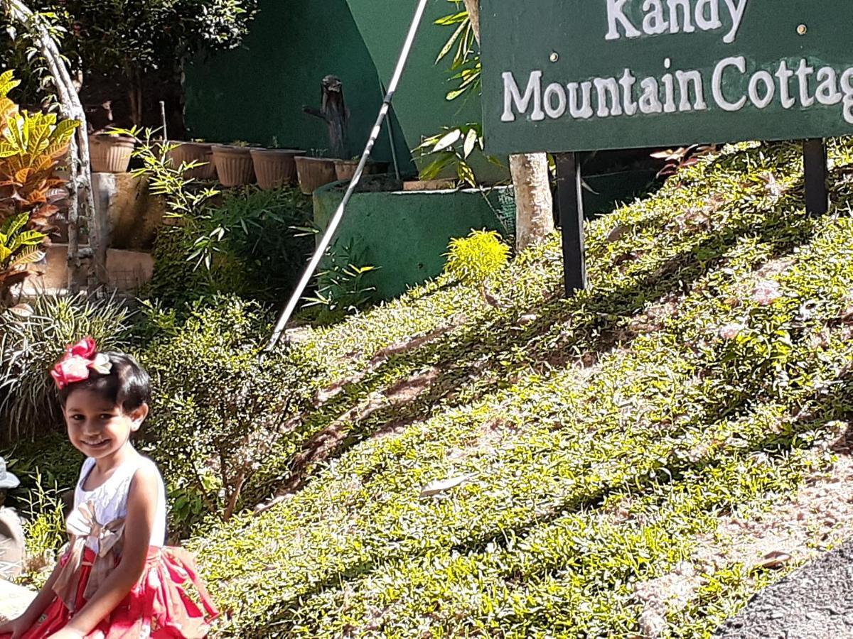 Kandy Mountain Cottage Экстерьер фото